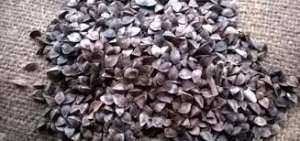 ����� ������ � ��������� �� ������. � ��� - ����������� 1