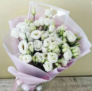 ����� ������ �� ������� - ����������� 1