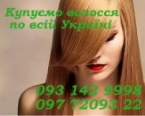 ������� � ����������: ����� ������ �� ����������� �����