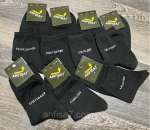 ����� ������ ���� � �������. ������ - �������/�������