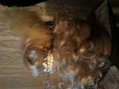 ����� ������ ����� - ����������� 3