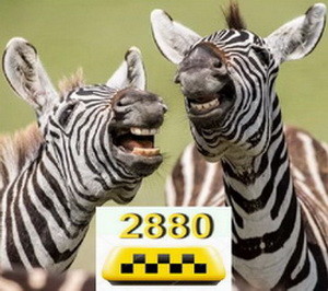 ����� ������ ����� �� 2880 ������. - ����������� 1