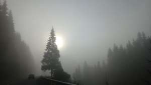 ����� ������ ����� �� ������, ������� � ������ - ����������� 1