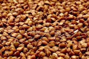 ����� ������ ����� �� ��������� - ����������� 1