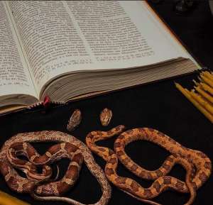 ����� ������! ����� ��� �� ���! ������ ��� �������, ������� � ����� ��������� - ����������� 1