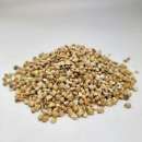 ������� � ����������: ����� ������ �����. ��������