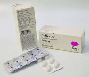 ����� ������ ����� ����������� ������ �������� ������� � ��������� ���. - ����������� 1