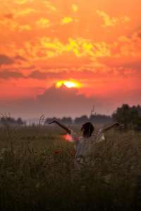 �����, ������ ������ - ����������� 1