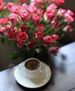 �����, ������ ������ � �������� ������� - ����������� 1