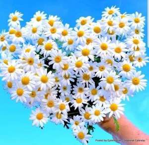 �����, ������ ������ �� ���� ������� - ����������� 1