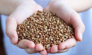 ����� ������. ������ ����� - ����������� 1