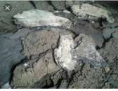 ������� � ����������: ����� ������ ������ ������, ����� ������, �������� �����