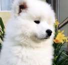 ������� � ����������: ����� ������ ������ (���������� �����)