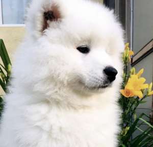 ����� ������ ������ (���������� �����) - ����������� 1