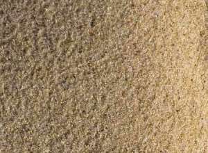 ����� ������ ������� - ����������� 1