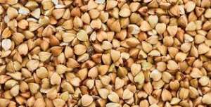 ����� ������. ������� ����� - ����������� 1