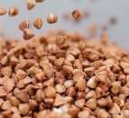 ������� � ����������: ����� ������, ������� �����