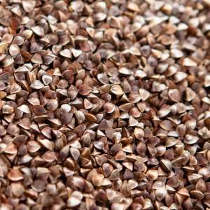 ����� ������. ������� ����� - ����������� 1