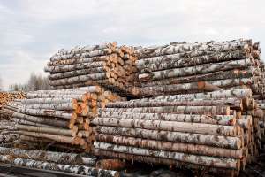 ����� ������ ������� ������ - ����������� 1