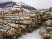 ����� ������ ������� ������ - ����������� 3