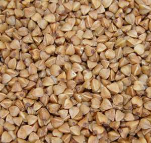 ����� ������. ������� ������. ����� ������ - ����������� 1