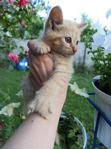 ����� ������ �������� � ������� - ����������� 1