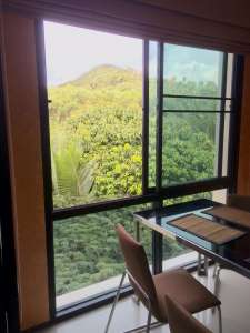 ����� ������ �������� � ������� �� �. ����� - ����������� 1