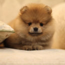 ������� � ����������: ����� ������ �������� ������ ��� �������������� �� ��������� ��� ������� �� 50��� ���