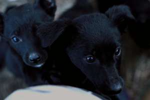 ����� ������ (�������� ������ ������� � �����) - ����������� 1