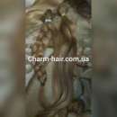 ����� ������ ���������