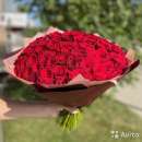 �����, ������, ��������� ���������� � ���������. �������� - �������/�������