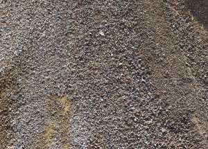 ����� ������ ����������� - ����������� 1