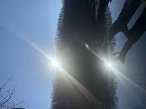 ����� , ������ ����������� � �������� - ����������� 1