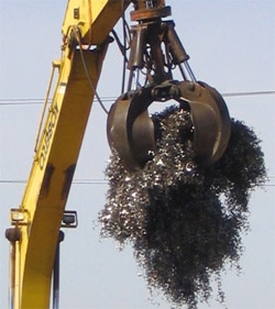 ����� ������ ����������� ���� - ����������� 1