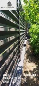 ����� ������ ������������� ������, ����� ������ ��������� ��� ����. - ����������� 1