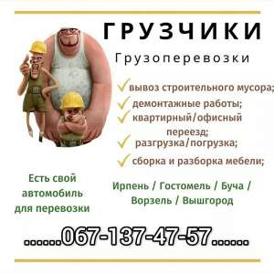 ����� ������ ����������-��������� ������� ������� - ����������� 1