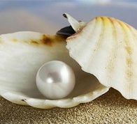 ����� ������� 5 ����� - ����������� 1