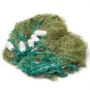 �����, ������� - ����������� 2