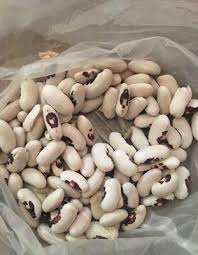 ����� ������� - ����������� 1