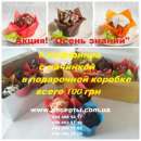 ������� � ����������: �����! ������� � ��������!