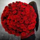 ������� � ����������: ����� ������� - � ��������� ������ �� Prof Flowers Decor Kharkiv