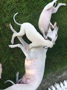 ����� ������� � �����������. - ����������� 1