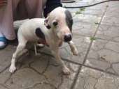 ����� ������� � �����������. - ����������� 3