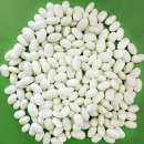 ������� � ����������: ����� ������� ��� �����, �����������, ��� ����, ����� �� ��