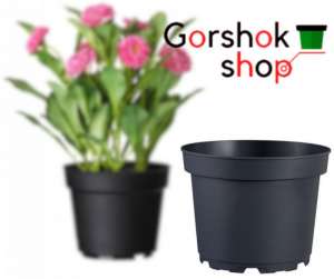 ����� ������� ��� ������� ����� �� ���������� ��������� - ����������� 1