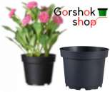 ������� � ����������: ����� ������� ��� ������� ����� �� ���������� ���������