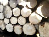 ����� ������� ����� � - ����������� 2