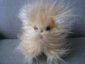 ������� � ����������: �����, �������, �����, �������, �������, �������