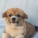 ����� �������, ����� �������� � ������� ���������, ���� 40000��� - ����������� 2