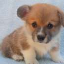 ����� �������, ����� �������� � ������� ���������, ���� 40000��� - ����������� 3